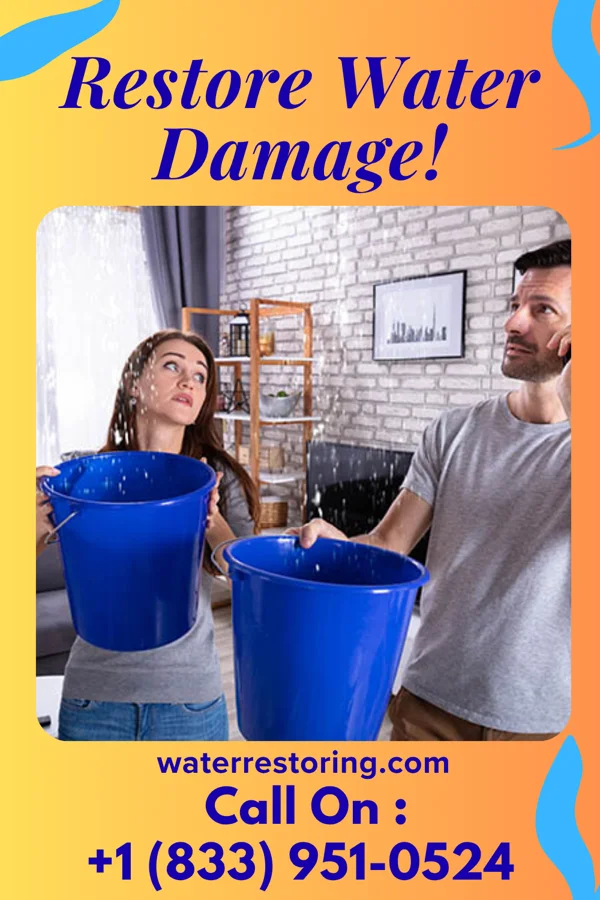 water restoration Classic Extraction Services Schriever